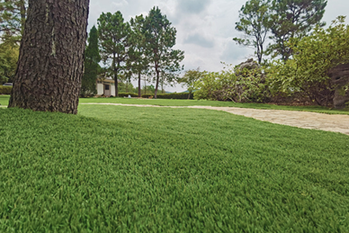 Lawn care