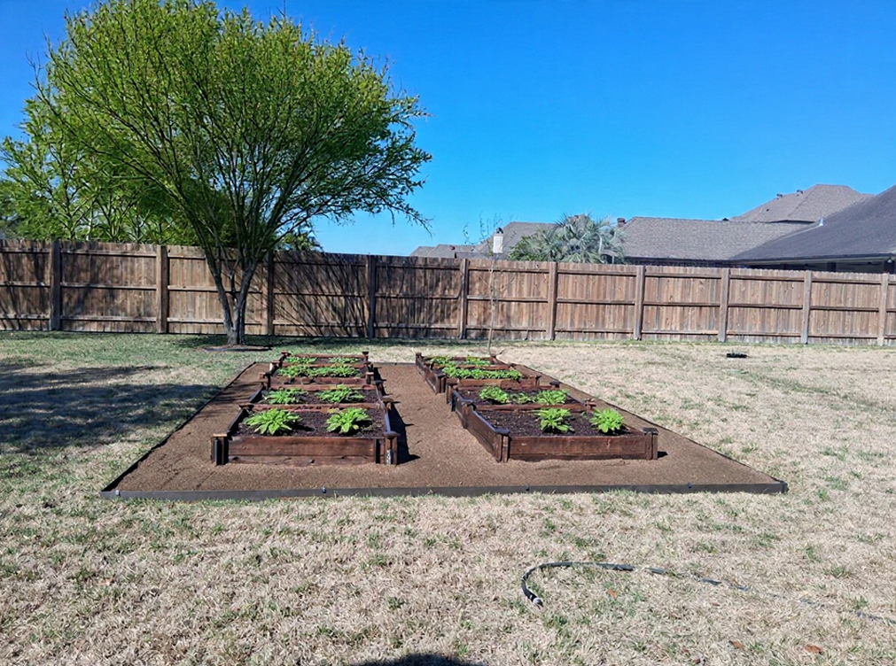 Planting & Garden Beds
