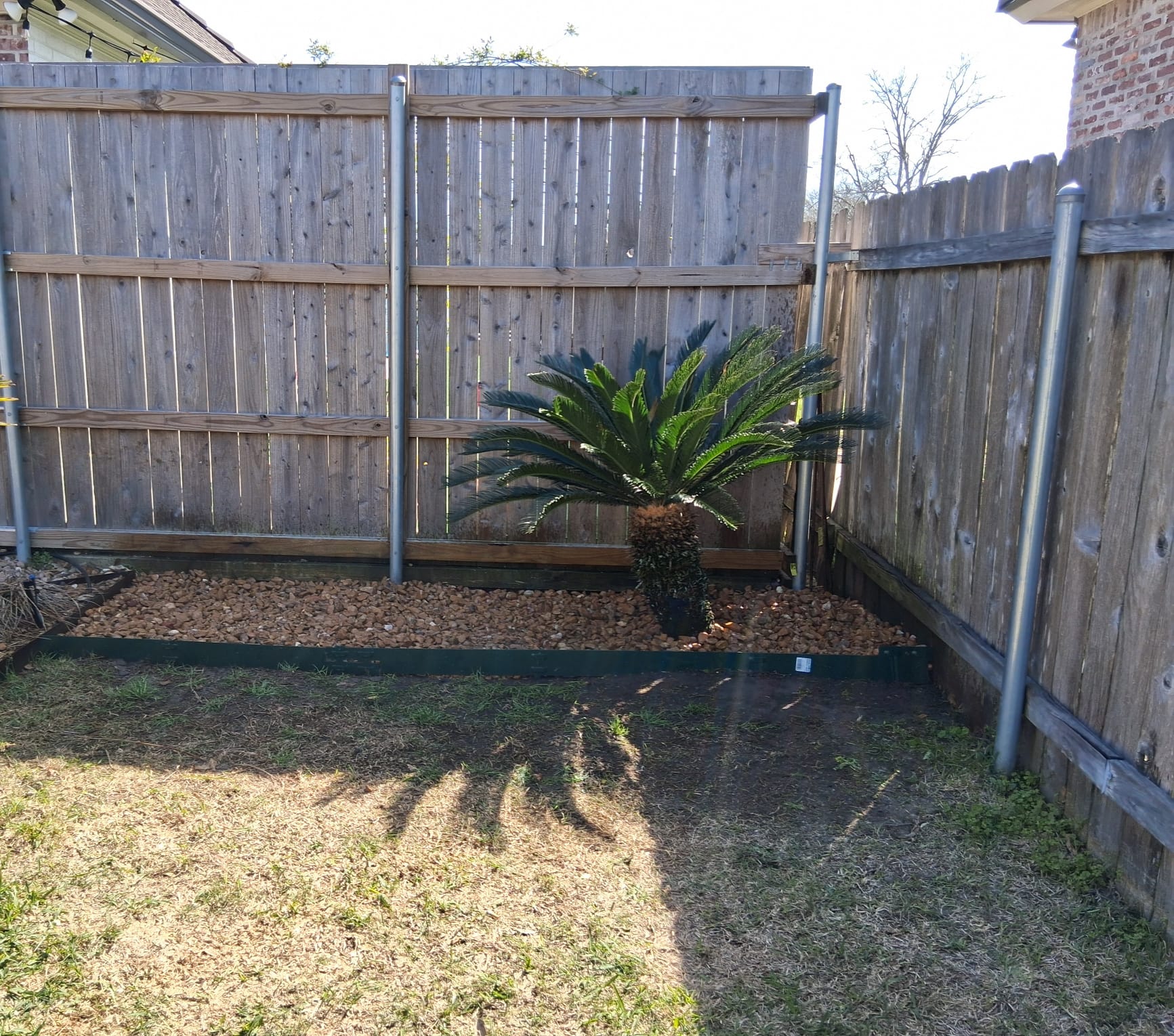 Seasonal Clean-Up