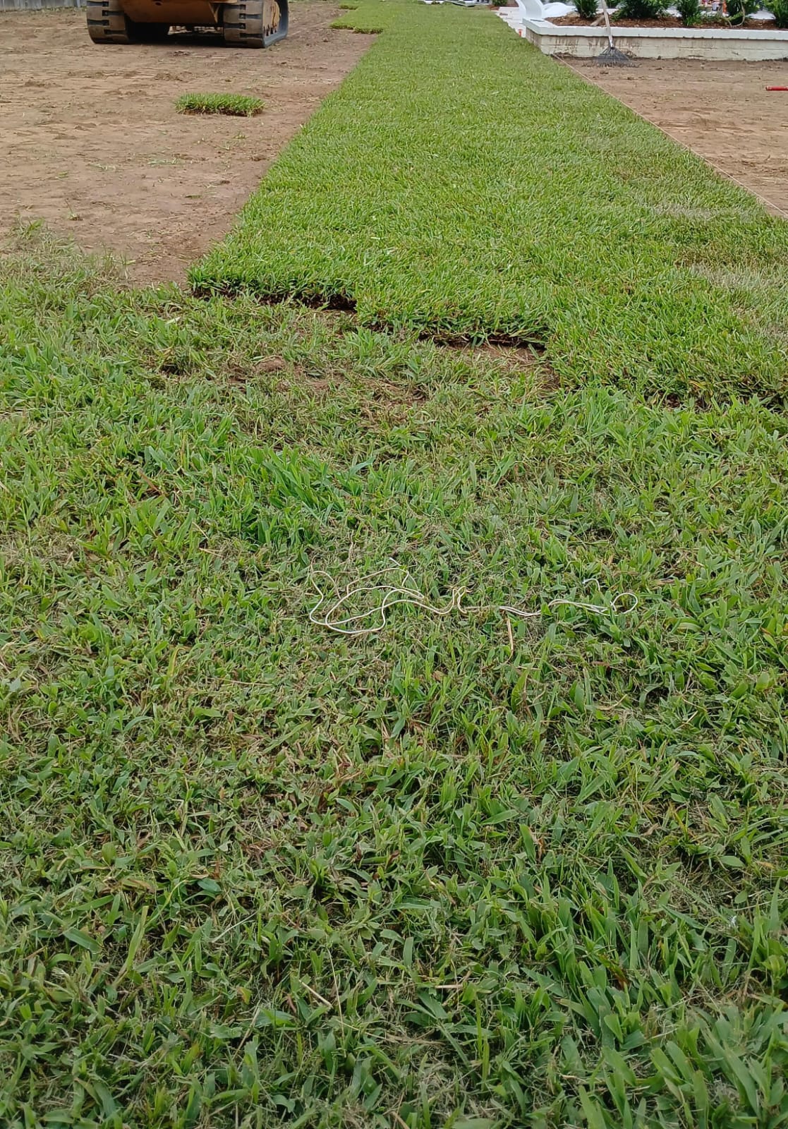 New lawn